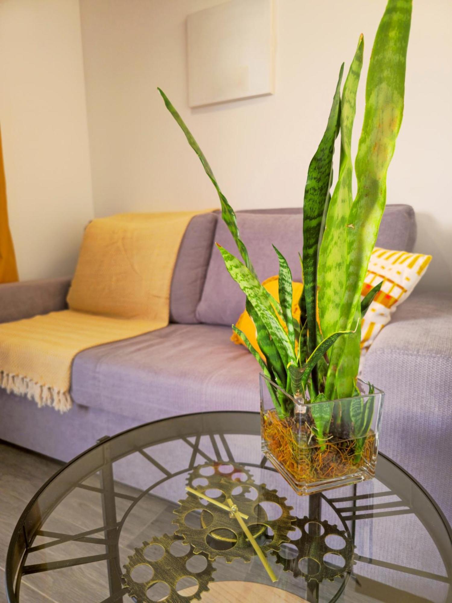 Brand New Private Modern Apartment With Patio And Sea View 칼례타 외부 사진